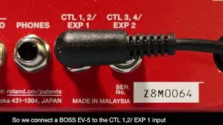 RC 600 Guitar FX and Expression*
