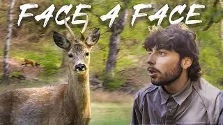 This deer BARKS AT ME and takes me by surprise!!! (incredible encounter in the forest!)