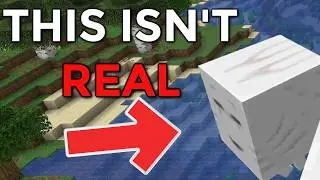 Can YOU Figure out what's wrong with these Minecraft Images?