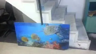 3d Resim Lenticular - www.3boyutludekor.com