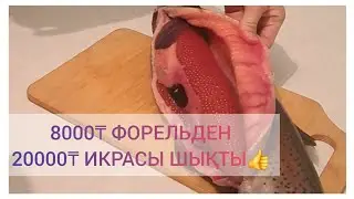 Форель #икра #уылдырық #уылдырықты #қалай #дайындайды