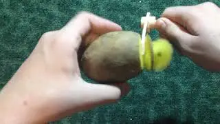 Распаковка с Joom 12 Часть 1.