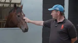 Road to Royal Ascot: Big Evs