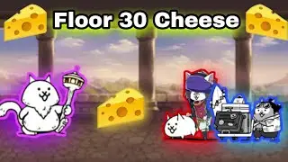 Cheesing Floor 30 w/Healer and Vendor Cat