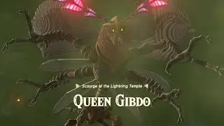 Queen Gibdo Boss Fight: Zelda Tears of The Kingdom