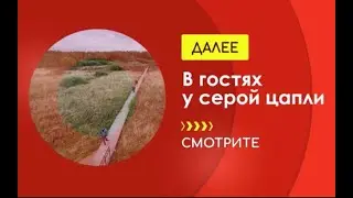 Экологическая тропа 
