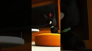 #кот