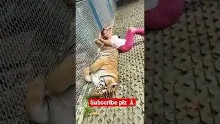 Tiger photo shoot omg 😱😱