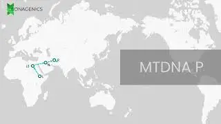 MTDNA P - DNAGENICS