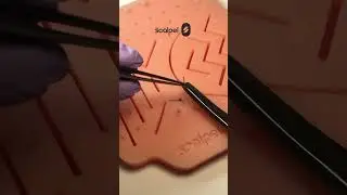 Эстетика хирургии | Тренажер Scalpel med