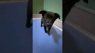 Яшка🐻 Домой надо!