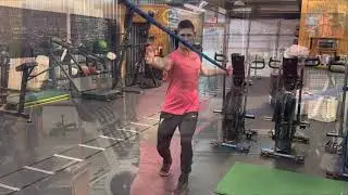 Single Arm Posterior Fly
