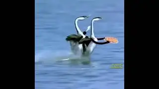 Отдай😂😂😂