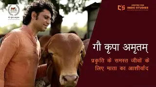 गौ कृपा अमृतम : प्रकृति के समस्त जीवों के लिए गौ माता का आशीर्वाद  - गोपाल सुतारिया  - #IndicTalks