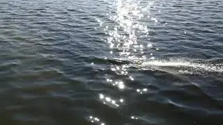 Harpoon mono 1 boat first run by "limiter" rules