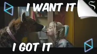 Harley Quinn | 7 Rings