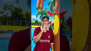 I HID MECCHA CHAMELEON AT THE WATER PARK