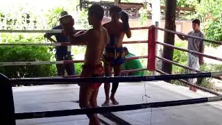 Тайский бокс Thai Boxing @ Koh Samui Thailand