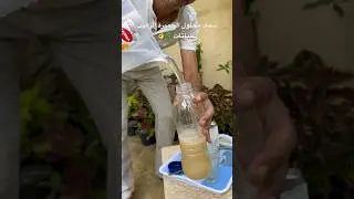 كيف نستخدم الخميرة صح؟ ونسعف النباتات في أوقات الخمول والسكون حتى تقوي وتنشط الجذور والبراعم🌿👀👌