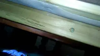 I suck balls