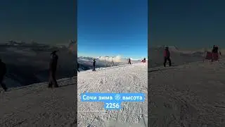 Сочи горы 🏔️ зима 🥶 высота 2250