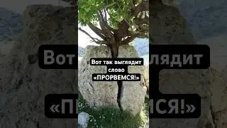 В тебе больше силы, чем ты можешь себе вообразить! 1 Ин.4:4 🔥