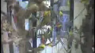 Animal cruelty Inside Petsmart Supplier
