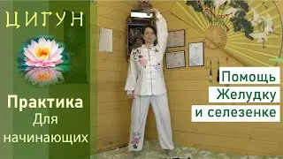 Цигун для желудка и селезенки (объяснение упражнения)
