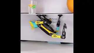 How many pushups can you do? | Bittle the Robot Dog Does Push-Ups! | PetoiCamp