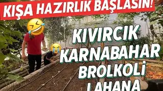 Kışa Hazırlık Başlasın! Seramızda Kıvırcık, Karnabahar, Brokoli ve Daha Fazlası 🌱👩‍👧