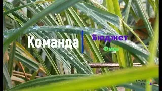 Трофейный лещ