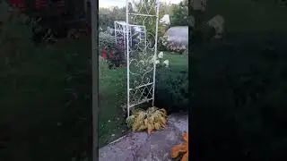 Осень в моем саду