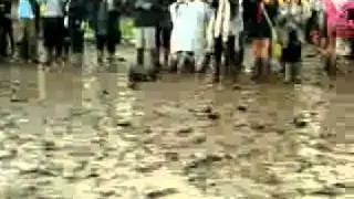 t in the park man slides across mud.mp4