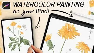 Easy Procreate Watercolor Tutorial | Pretty Dandelions!