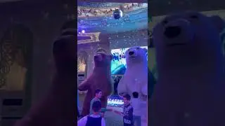 🤩🤩ayiqlar tuyda🤩🤩 принимаем заказы 932324949