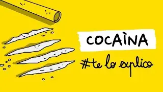 EVERYTHING YOU NEED TO KNOW ABOUT COCAINE | 
