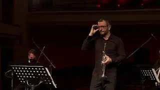 Portrait of a Trumpet