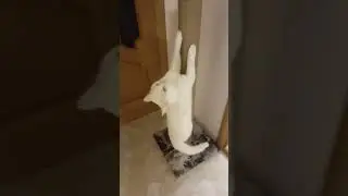 Рандомное видео из галереи)))