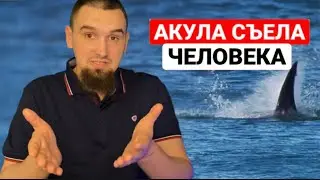 АКУЛА съела ЧЕЛОВЕКА: Случайность или Предопределение ВСЕВЫШНЕГО?