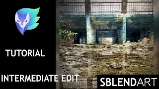 how to use enlight app tutorial (Tips and tricks)
