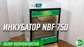 Инкубатор NBF-750