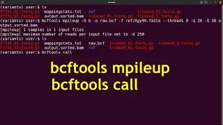variant calling with bcftools | bcftools mpileup | bcftools call