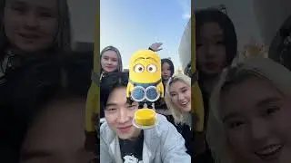 Minions 🏠 