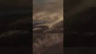 Tarihin en büyük komutanlarından olan Selahaddin Eyyubi! #shorts