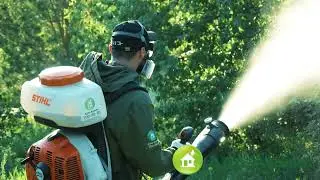 Обработка от клещей