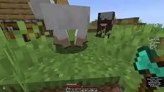 I Think Creepers Have Something Against Me