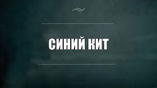 #синийкит