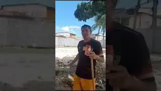 quatro tipos de frutas que os portigua não gostam @blackwhitesilva #reels #youtube
