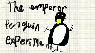 Emperor penguin experiment