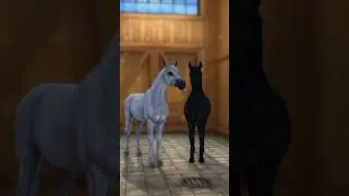 #horsegame
